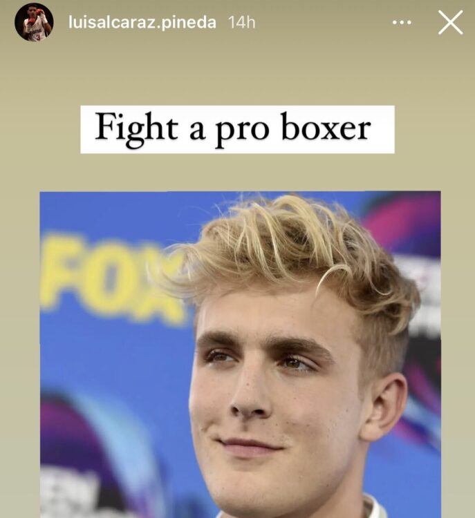 Luiz Alcaraz Pineda has challenged Jake Paul to a boxing Match
