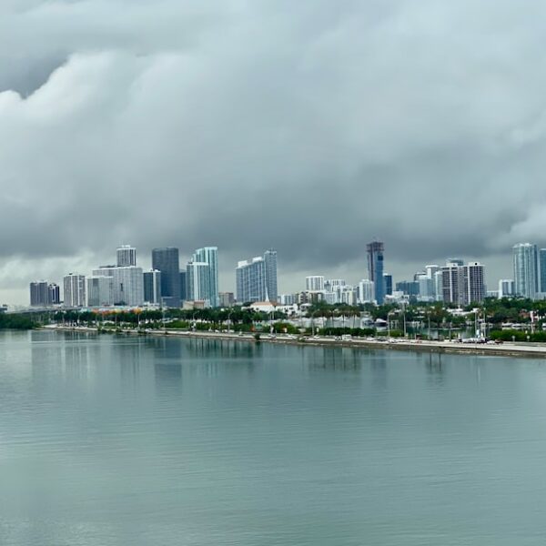 The Sizzling World of Miami Heat: A Comprehensive Guide to the Team, City, and Culture