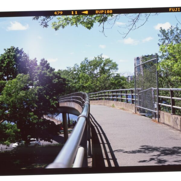 The Boston Celtics: A Legacy of Excellence and a Future of Promise