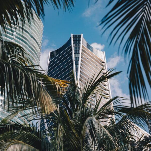 The Sizzling World of Miami Heat: A Comprehensive Guide to the Team, City, and Culture