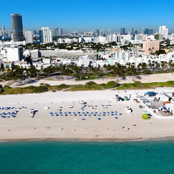 The Sizzling Story of the Miami Heat: A Journey Through Their History, Roster, and Legacy