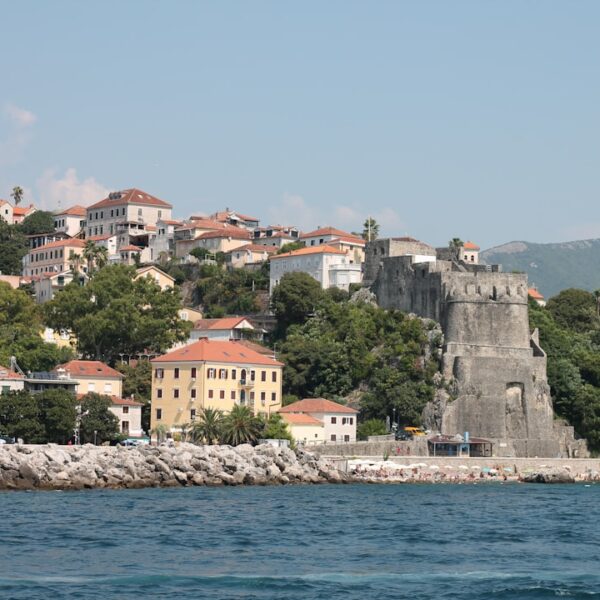 Unleashing the Beast: The Rise of Nikola Jokić to NBA Superstardom