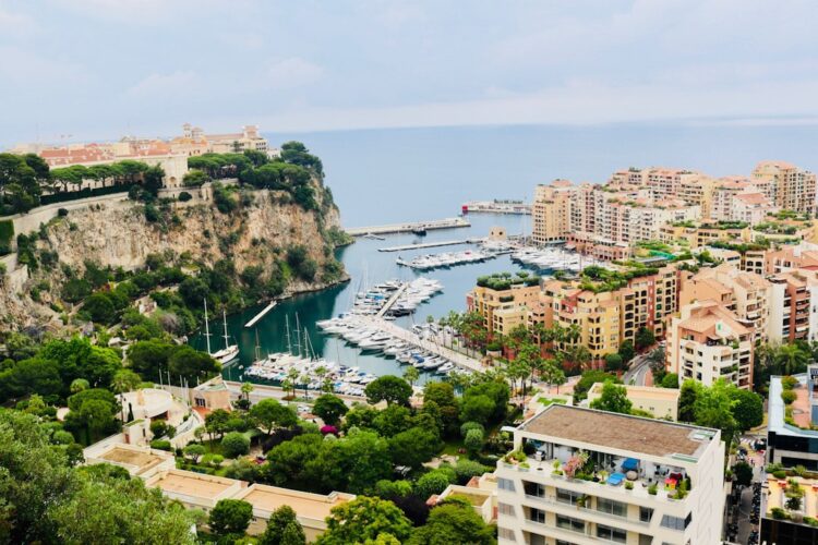 Unveiling the Mystique of AS Monaco: A Comprehensive Guide to the Principality's Footballing Jewel