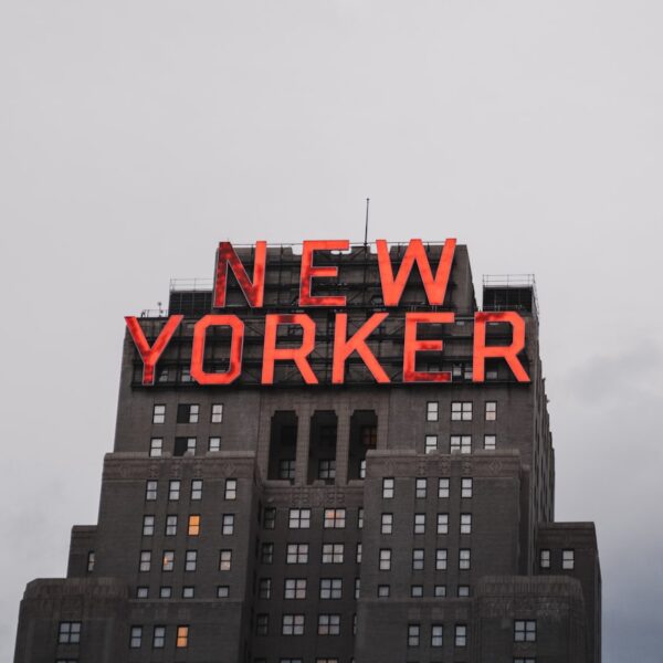 The New York Knicks: A Legacy of Basketball Excellence in the Big Apple